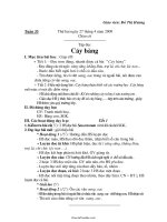 Bài soạn các môn học lớp 1 - Tuần 33 - Đỗ Thị Hương