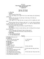 Giáo án lớp 3- tuần 31