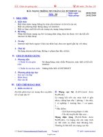 Giáo án môn Tin học 10 - Học kì II - Trường THPT Tân Uyên - Tiết 59: Mạng thông tin toàn cầu internet