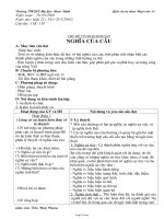 Giáo án môn Ngữ văn lớp 11 - Nghĩa của câu