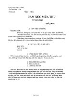 Giáo án môn Ngữ văn lớp 10 (cơ bản) - Cảm xúc mùa thu