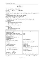 Giáo án Tổng hợp môn học lớp 1 - Tuần thứ 7