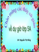 Phong trào nuôi heo đất 