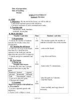 Bài soạn môn học Tiếng Anh lớp 11 - Unit 5: Illiteracy - Lesson 6: Revision