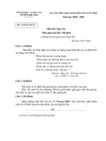 HÓA THẠCH DẤU CHÂN VOI CỔ ĐẠI