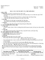 Giáo án Sinh học 10 - Bài 1: Các cấp tổ chức của thế giới sống - Năm học 2016-2017