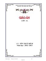 Giáo án tổng hợp môn lớp 4 - Tuần 21 - Năm học: 2012 - 2013
