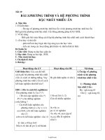 Giáo án Đại 10 tiết 39: Phương trình và hệ phương trình bậc nhất nhiều ẩn