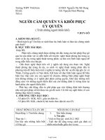 Giáo án Ngữ văn 11: Người cầm quyền và khôi phục uy quyến ( trích Những người khốn khổ) V.Huy-Gô