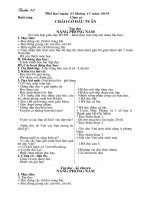 Giáo án lớp 2D- Tuần 13