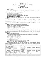 GIÁO ÁN TUẦN 19 - BC (NĂM HỌC 2020-2021)
