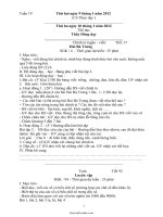 Giáo án tổng hợp môn học lớp 1 - Tuần dạy 19