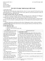 Bài soạn Ngữ văn 11 tiết 29, 30: Ôn tập văn học trung đại Việt Nam