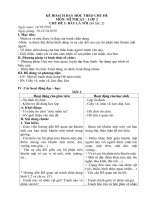 Kế hoạch dạy học theo chủ đề môn mĩ thuật lớp 2 -chủ đề 3, chủ đề 4