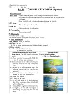 Sinh học 6 - Bài 36: Tổng kết cây có hoa (tiếp theo)