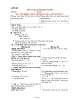 Giáo án Tổng hợp môn học lớp 4 - Tuần học số 13