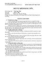 Mẫu: Bản tự kiểm đảng viên