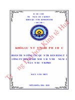 Luận văn kinh tế Hoàn thiện công tác quản trị bán hàng tại Công ty Trách nhiệm hữu hạn Thương mại và Sản xuất H.PRO