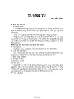 Giáo án Ngữ văn khối 11 - Tương tư - Nguyễn Bính