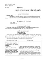 Giáo án môn Ngữ văn lớp 10 (cơ bản) - Chọn sự việc, chi tiết tiêu biểu