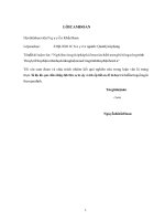 (Luận văn thạc sĩ file word) Nghiên cứu giải pháp kiểm soát chất lượng bê tông công trình thủy lợi thủy điện và bài học kinh nghiệm của công trình thủy điện Sơn La