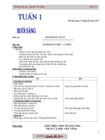 Bài soạn môn học Tiếng Anh 11 - Unit 1, 2