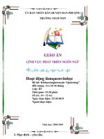 GIÁO ÁN LĨNH VỰC PHÁT TRIỂN NGÔN NGỮ Hoạt động làmquen vănhọc Đề tài: Kểcho trẻ nghe truyện “Quảtrứng” Trẻ 24-36 tháng
