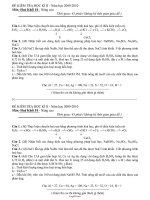 Đề kiểm tra học kì II - Năm học 2009 - 2010 môn: Hoá khối 10 (nâng cao)