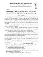 De thi giua hoc ki 2 lop 5 mon tieng viet nam 2020 2021 de 2 