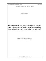 khảo sát các tác nhân vi khuẩn trong đợt cấp bệnh phổi tắc nghẽn mạn tính ở người bệnh cao tuổi điều trị nội trú 