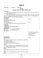 Giáo án Lớp 4 - Tuần 34 - Năm học 2008-2009 - Đặng Thúy Lựu