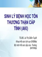 SINH LÝ BỆNH HỌC TỔN THƯƠNG THẬN CẤP TÍNH (AKI) TS.BS. Lê Thị Diễm Tuyết