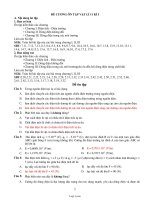 Đề cương ôn tập Vật lí 11 - Học kì I