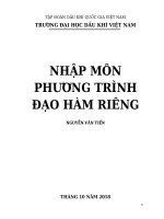 nhập môn phương trình đạo hàm riêng