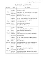 Giáo án Lớp 4 - Tuần 11 - Năm học 2010-2011 - Ngô Thị Hồng Vân