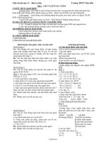 Giáo án Hóa học 11 – Ban cơ bản - Trường THPT Cẩm Khê