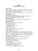 Giáo án Tập đọc Lớp 4 - Tuần 17 - Rất nhiều mặt trăng