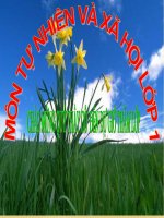 Bài 30. Trời nắng, trời mưa