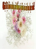 Cố Hương (Văn 9)