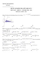 ĐỀ MẪU ÔN TẬP GIỮA KỲ 2 MÔN TOÁN KHỐI 12 NH 2020-2021.