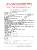 3280 SINH 11  CHỦ đề TIÊU hóa ở ĐỘNG vật 