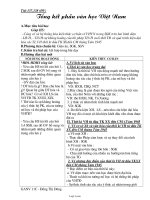 Giáo án môn Ngữ văn khối 11 - Tổng kết phần văn học Việt Nam