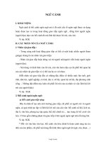 Giáo án môn Ngữ văn khối 11 - Ngữ cảnh