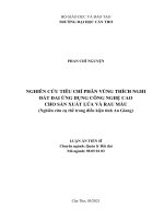 Nghiên cứu tiêu chí phân vùng thích nghi đất đai ứng dụng công nghệ cao cho sản xuất lúa và rau màu (nghiên cứu cụ thể trong điều kiện tỉnh an giang) 