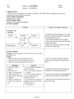 Giáo án English 10 - Unit 15: Cities - Lesson 4: D.Writing