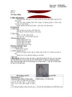 Phong trào nuôi heo đất 