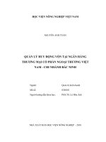 Quản lý huy động vốn tại ngân hàng thương mại cổ phần ngoại thương việt nam   chi nhành bắc ninh   
