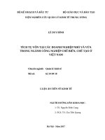 Tích tụ vốn tại các doanh nghiệp nhỏ và vừa trong ngành công nghiệp chế biến, chế tạo ở Việt Nam