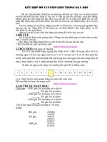 Lợn Cắp Nách Sapa