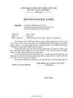 Đơn xin nâng bậc lương